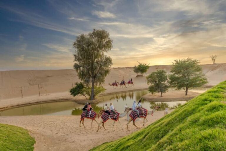 Dubai: Overnight Safari with Luxury Dome Stay & Stargazing - The Sum Up