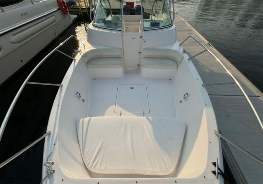 Dubai: Private Boat Tour Experience - The Itinerary and What to Expect