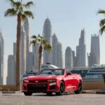 Dubai: Private City Sights Tour in a Cabriolet Convertible - Final Thoughts