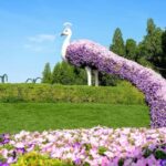 Dubai: Private Dubai Flora and Fauna Trip - What Makes This Tour Stand Out?