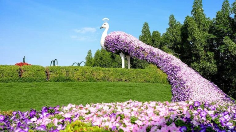 Dubai: Private Dubai Flora and Fauna Trip - What Makes This Tour Stand Out?