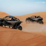 Dubai: Quad Bike or Dune Buggy Adventure & Optional Transfer - Why This Tour Holds Value