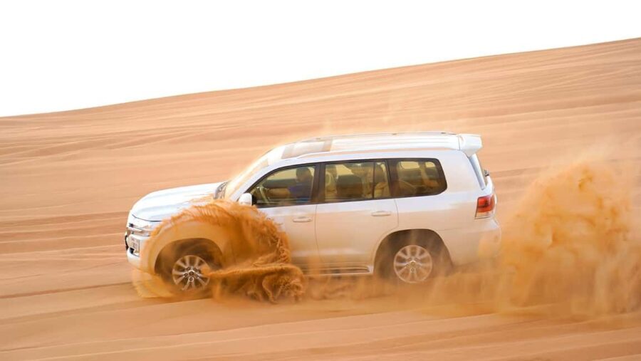 Dubai: Sandboarding, Camel Ride and Red Dune Bashing - The Heart of the Tour: Dune Bashing and Sandboarding
