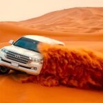 Dubai: Tour with BBQ Dinner, Camel Ride, & Traditional Show - The Food: BBQ Dinner & Cultural Flavors