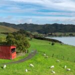 Duder Regional Park Walking Tours - Detailed Itinerary Breakdown