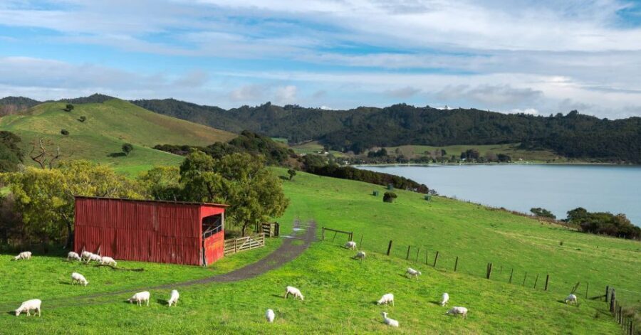 Duder Regional Park Walking Tours - Detailed Itinerary Breakdown