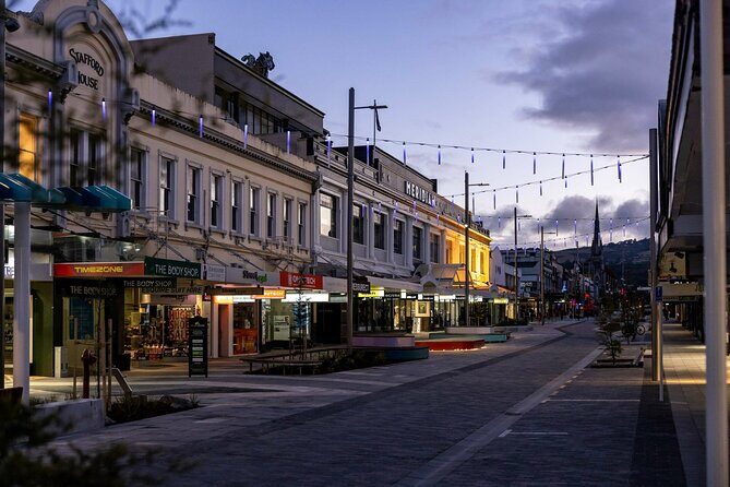 Dunedin 4 Hrs halfday Private Tour - Exploring Dunedin’s City Highlights