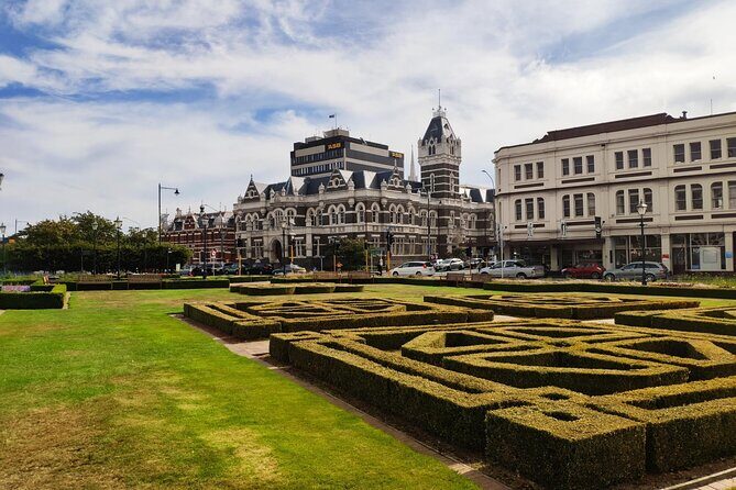 Dunedin City and Coastal Views 3-Hour Small-Group Guided Tour - Value and Pricing: Is It Worth It?