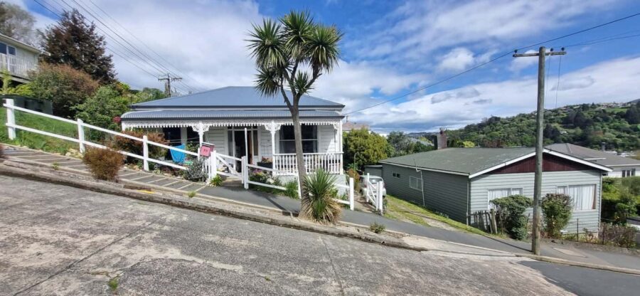 Dunedin City Highlights & Larnach Castle Tour - What Sets This Tour Apart?