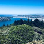 Dunedin City Highlights, Otago Peninsula Scenery & Albatross Guided Tour - Who Will Love This Tour?