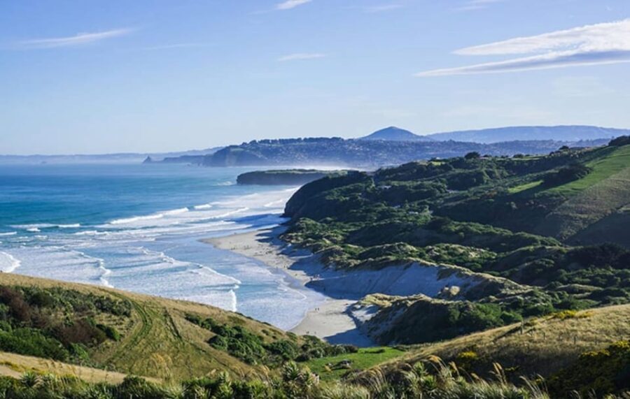 Dunedin City & Otago Peninsula Scenery Day Tour - Exploring the Otago Peninsula: Nature and Wildlife