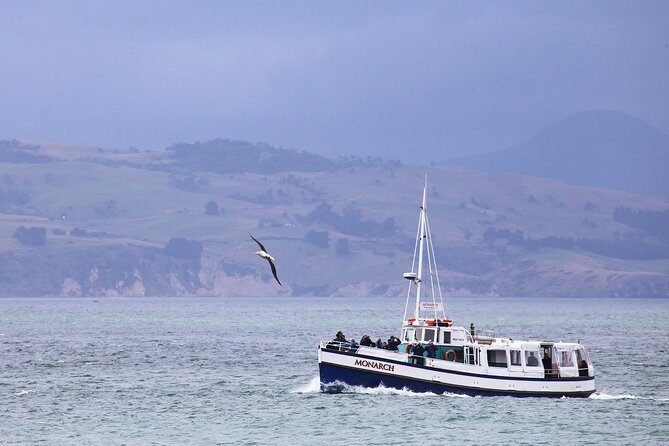 Dunedin City to Sea Wildlife Cruise + Peninsula Bus Tour - What’s Included and What to Bring