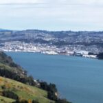 Dunedin City, Wildlife and Larnach Castle - What Makes This Tour Stand Out?