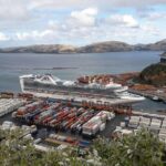 Dunedin Nature & City Tour  Full Day Cruise Excursion - Practical Tips for Making the Most of the Tour