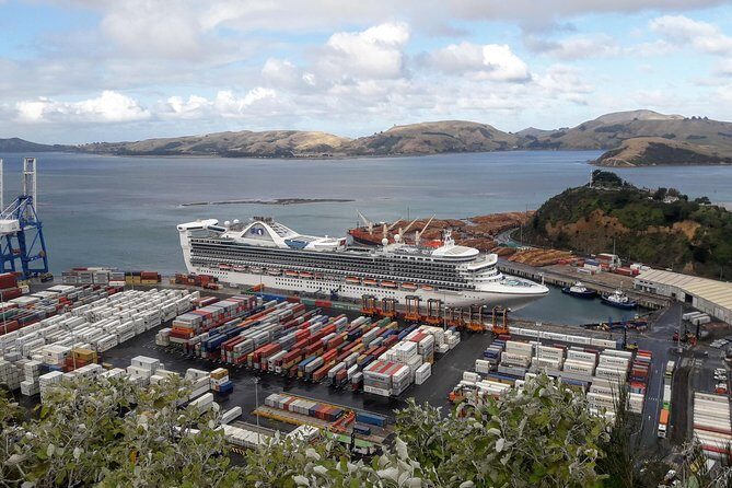 Dunedin Nature & City Tour  Full Day Cruise Excursion - Practical Tips for Making the Most of the Tour