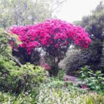 Dunedin: Small Group City Highlights Tour - Final Thoughts: Who Is This Tour Best For?