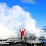 Dunedin to Invercargill via the Catlins (one-way tour) - Transportation and Comfort