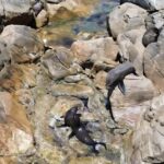 Dunsborough: Geographe Bay Eco & Snorkel Boat Tour - What to Expect on the Tour