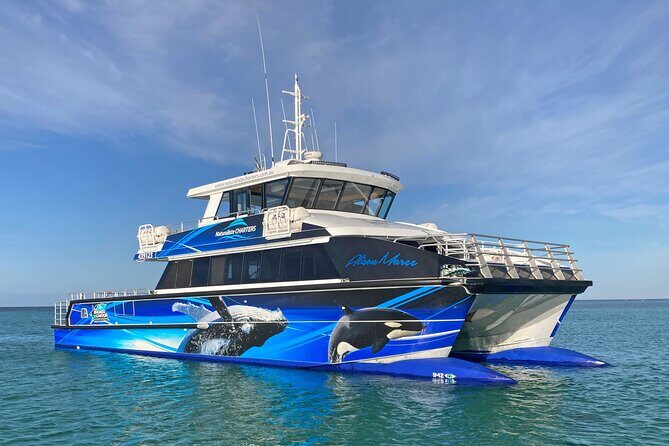 Dunsborough Whale Watching Eco Tour - Final Thoughts