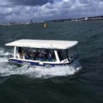 Durban: 30-Minute Harbor Boat Cruise - Overview of the Experience