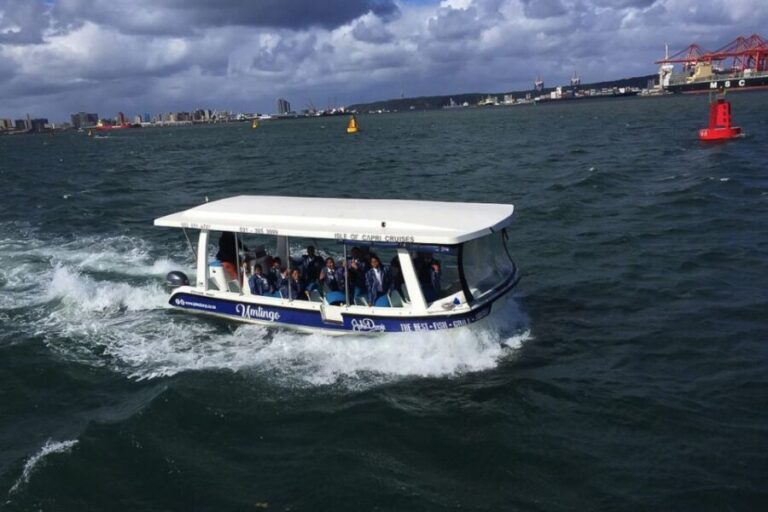 Durban: 30-Minute Harbor Boat Cruise - Overview of the Experience