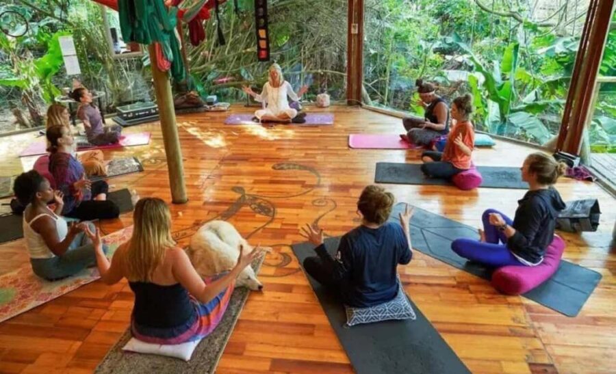 Durban: 5-Day Ocean and Yoga Bliss Retreat - The Value of This Experience