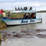 Durban: DumaZulu Cultural Village & Boat Safari Day Trip - An In-Depth Look at the Tour Experience