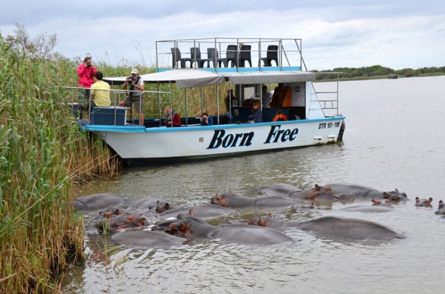 Durban: DumaZulu Cultural Village & Boat Safari Day Trip - An In-Depth Look at the Tour Experience