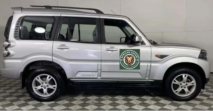Durban: Natal Lion Park and Phezulu Safari Park Tour - FAQ