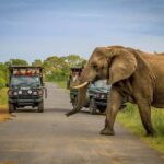 Durban:3 Day Hluhluwe-Imfolozi Park, St Lucia, iSimangaliso - What’s Included and What to Consider