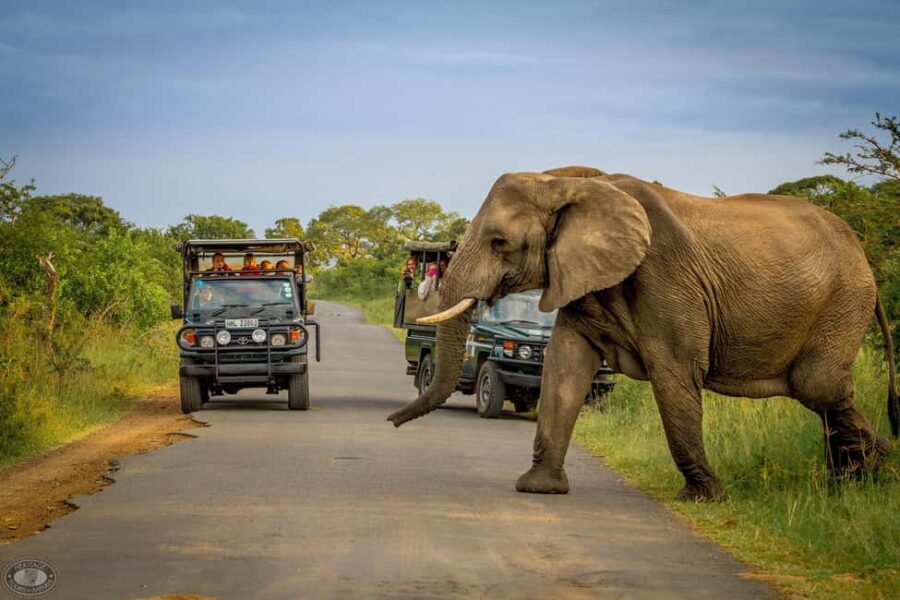 Durban:3 Day Hluhluwe-Imfolozi Park, St Lucia, iSimangaliso - What’s Included and What to Consider