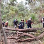 Dwellingup: Guided Hike and Scenic Train Ride with Lunch - Practical Details and Value
