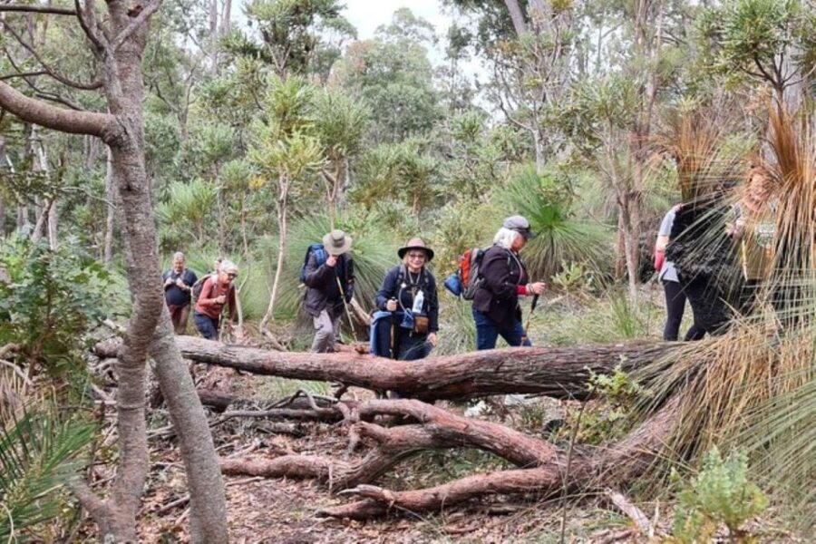 Dwellingup: Guided Hike and Scenic Train Ride with Lunch - Practical Details and Value