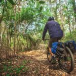 Dwellingup: Munda Biddi Explorer - Authentic Details from the Experience