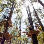 Dwellingup: Tree Ropes Course - What to Expect from the Tree Ropes Course