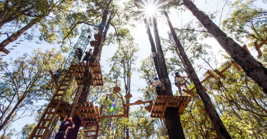 Dwellingup: Tree Ropes Course - What to Expect from the Tree Ropes Course