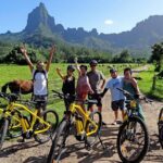 E-Bike Moorea Electric Bike Belvedere Tour (2 people minimum) - Discovering Moorea on Two Wheels
