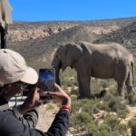 Early Morning Safari Big Five Experience Near Cape Town, SA - Why This Tour Works Well