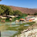 East Salalah Tour by VisitSalalah - Exploring the Itinerary in Detail
