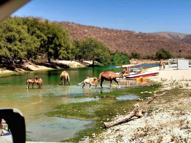 East Salalah Tour by VisitSalalah - Exploring the Itinerary in Detail