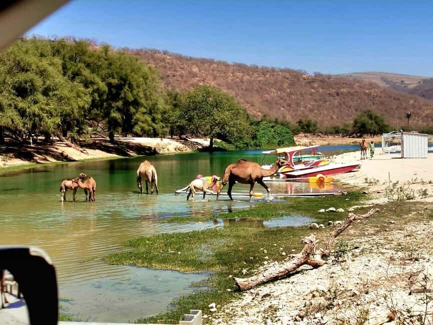 East Salalah Tour by VisitSalalah - Exploring the Itinerary in Detail