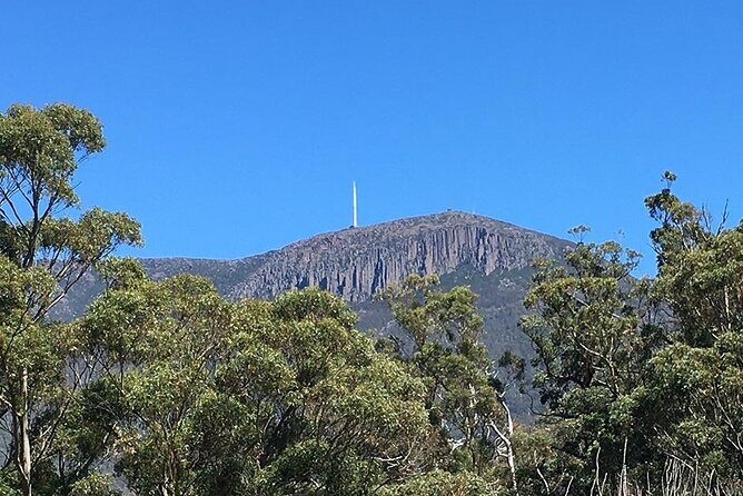 Easy Bike Tour - Mt Wellington Summit Descent & Rainforest Ride - The Mt. Wellington Summit Descent