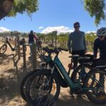 ebike tour lake Dunstan wine tasting - Who Would Love This Experience?