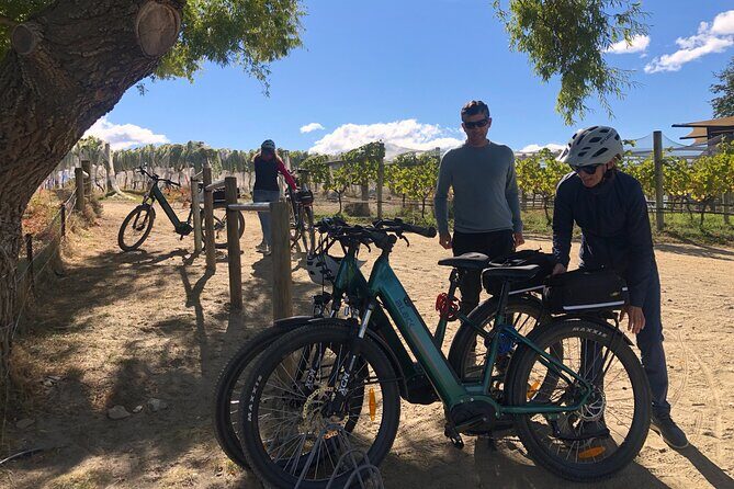 ebike tour lake Dunstan wine tasting - Who Would Love This Experience?