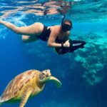Eco Friendly Sea Scooter Turtle Tour in Rarotonga - Respectful & Eco-Conscious Approach