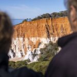 Eden: 2-Hour Highlights Tour, Nature, Beaches and Lookouts - Transportation and Logistics