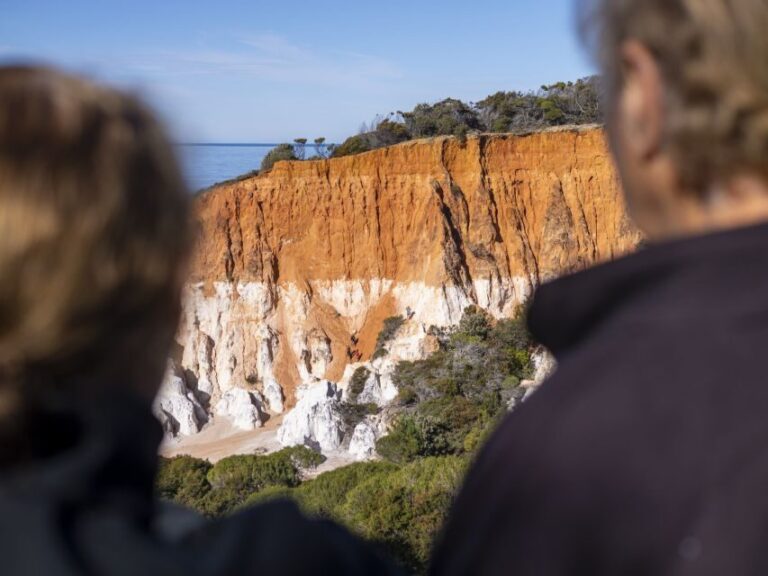Eden: 2-Hour Highlights Tour, Nature, Beaches and Lookouts - Transportation and Logistics