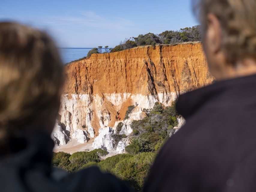 Eden: 2-Hour Highlights Tour, Nature, Beaches and Lookouts - Transportation and Logistics