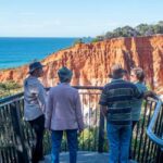 Eden: Panboola Wetlands and Potoroo Palace Tour with Lunch - What to Expect at Each Stop