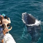 Educational Whale Watching Tour from Perth - What to Expect on the Tour